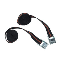 Pasy transportowe z klamrą 2x 250 cm